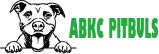 ABKC PITBULLS